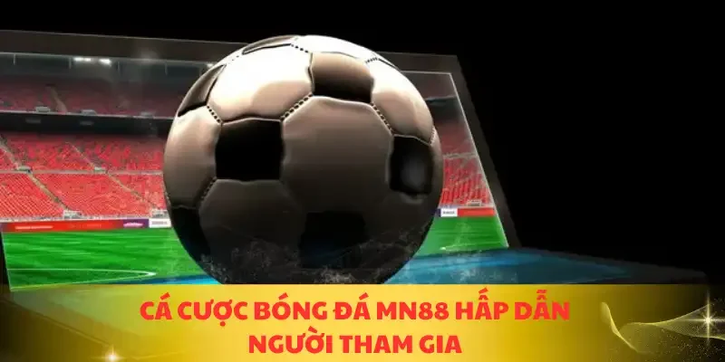 Cá cược bóng đá MN88 hấp dẫn người tham gia