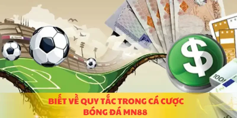 Biết về quy tắc trong cá cược bóng đá MN88
