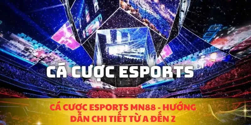 cá cược esports MN88