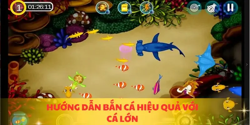 Hướng dẫn bắn cá hiệu quả với cá lớn