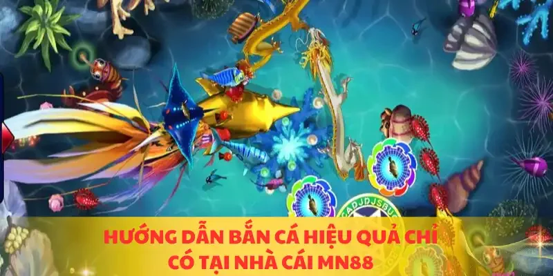 hướng dẫn bắn cá hiệu quả