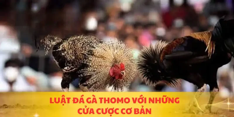 Luật đá gà Thomo với những cửa cược cơ bản
