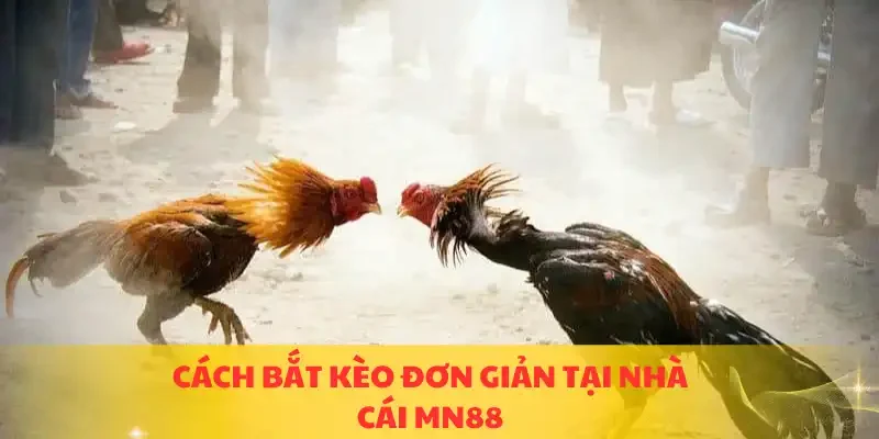 Cách bắt kèo đơn giản tại nhà cái MN88